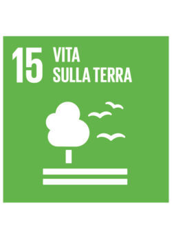 Vita-sulla-terra-15