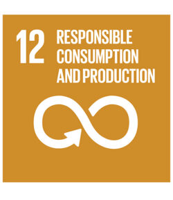 agenda-2030-goals-12
