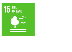 agenda-2030-goals-15