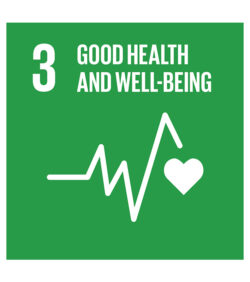 agenda-2030-goal-3-