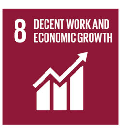 agenda-2030-goals-8